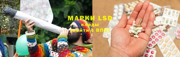 ГАЛЛЮЦИНОГЕННЫЕ ГРИБЫ Абаза