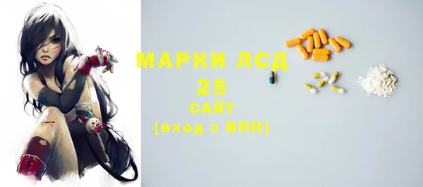 ГАЛЛЮЦИНОГЕННЫЕ ГРИБЫ Абаза