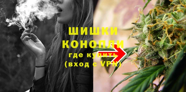 ГАЛЛЮЦИНОГЕННЫЕ ГРИБЫ Абаза