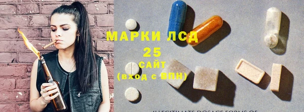 ГАЛЛЮЦИНОГЕННЫЕ ГРИБЫ Абаза