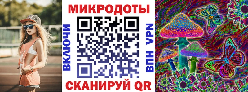 цена наркотик  KRAKEN ССЫЛКА  Псилоцибиновые грибы мицелий  Каменка 