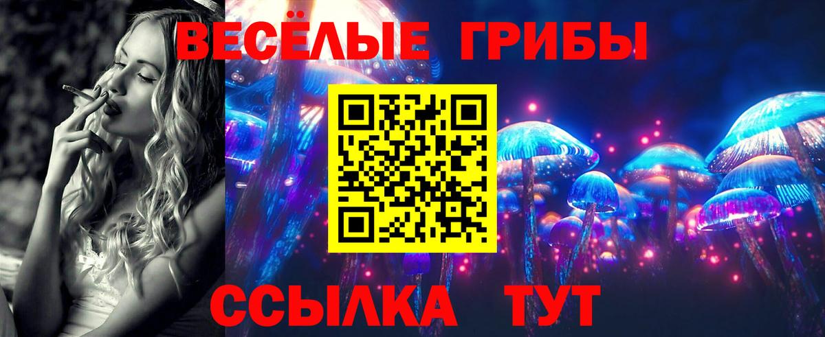 Галлюциногенные грибы Psilocybe  Вход с VPN  Каменка 